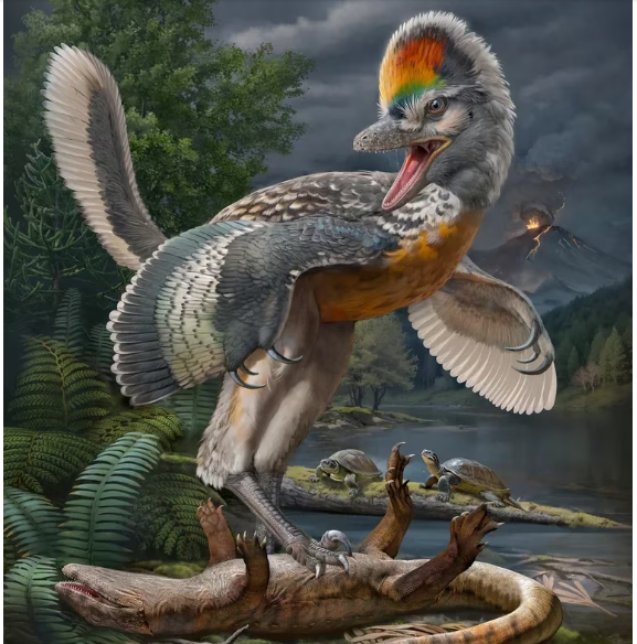 El dinosaurio Fujianvenator prodigiosus, parecido a un ave, vivió entre 148 y 150 millones de años atrás en lo que actualmente es China (Chuang Zhao/REUTERS).